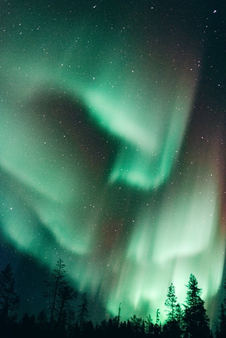 Viagens para a Lapónia — aurora boreal sobre a floresta nevada